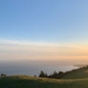 Meet your Posher, Kelley